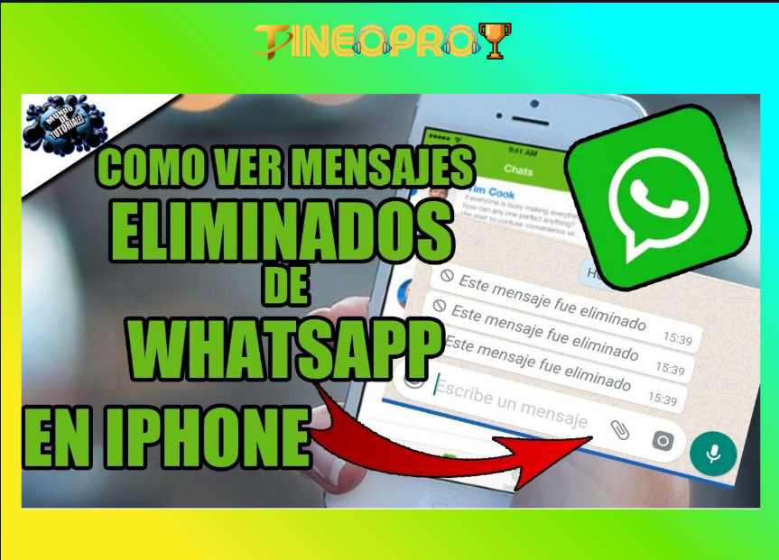 Cómo poder ver los mensajes de WhatsApp eliminados: métodos efectivos 4 image 134