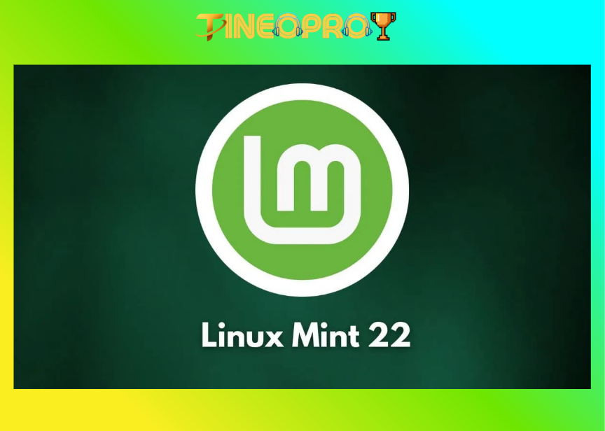 Guía para principiantes en Linux Mint 22