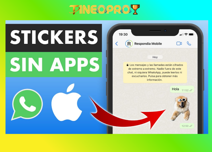 Cómo poner stickers en WhatsApp en fotos: Guía paso a paso 3 image 263