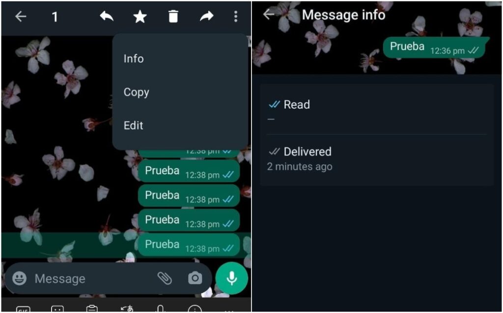¿Qué significa 2 palomitas grises en WhatsApp? Descubre su verdadero sentido 5 que significa 2 palomitas grises en whatsapp descubre su verdadero sentido